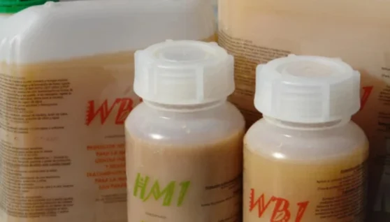 WB1, protector y tratamiento contra parásitos