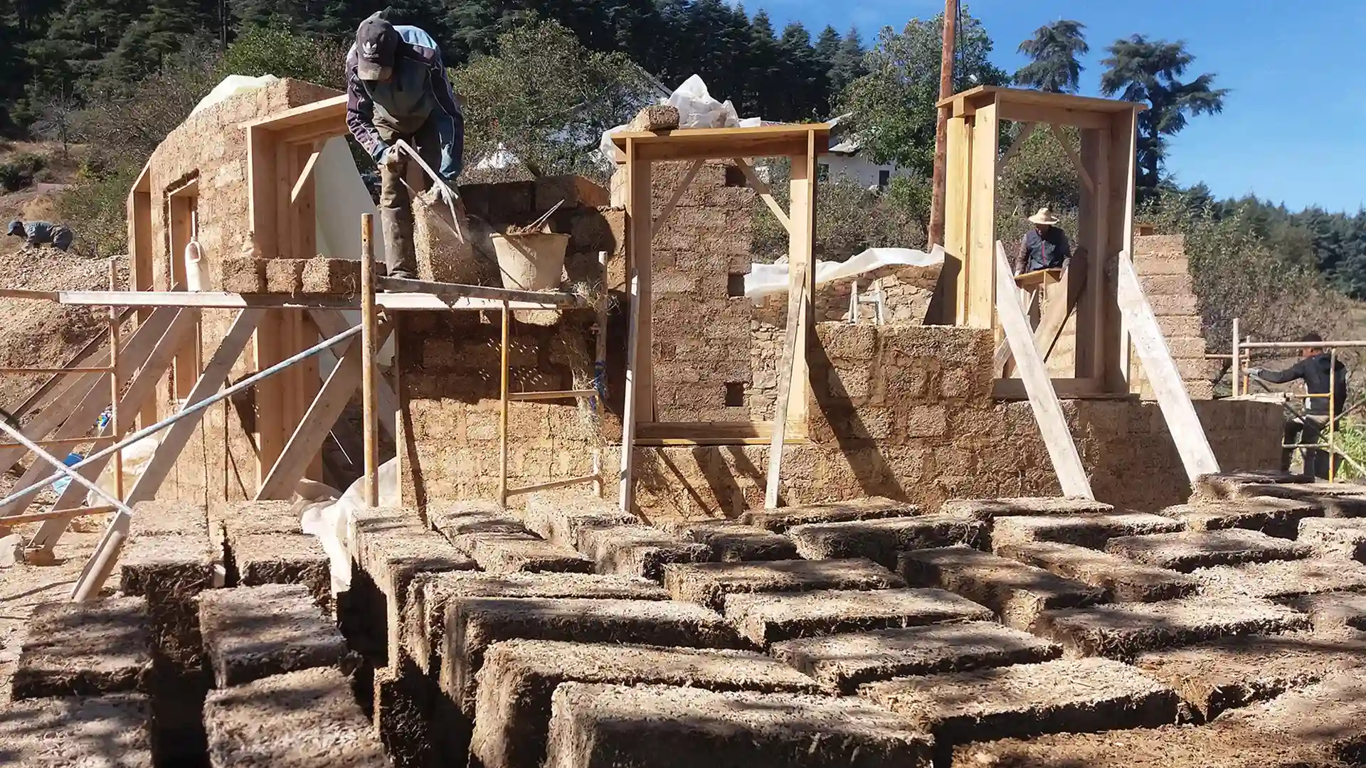 cannabis-comme-materiaux-de-construcction cannabis como material de construcción