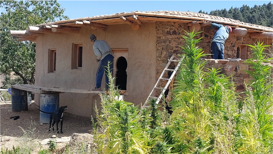cannatektum-actividades-home