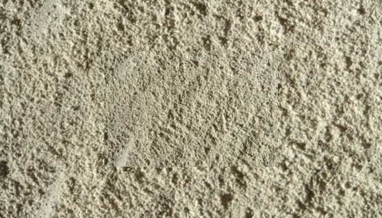 escayola